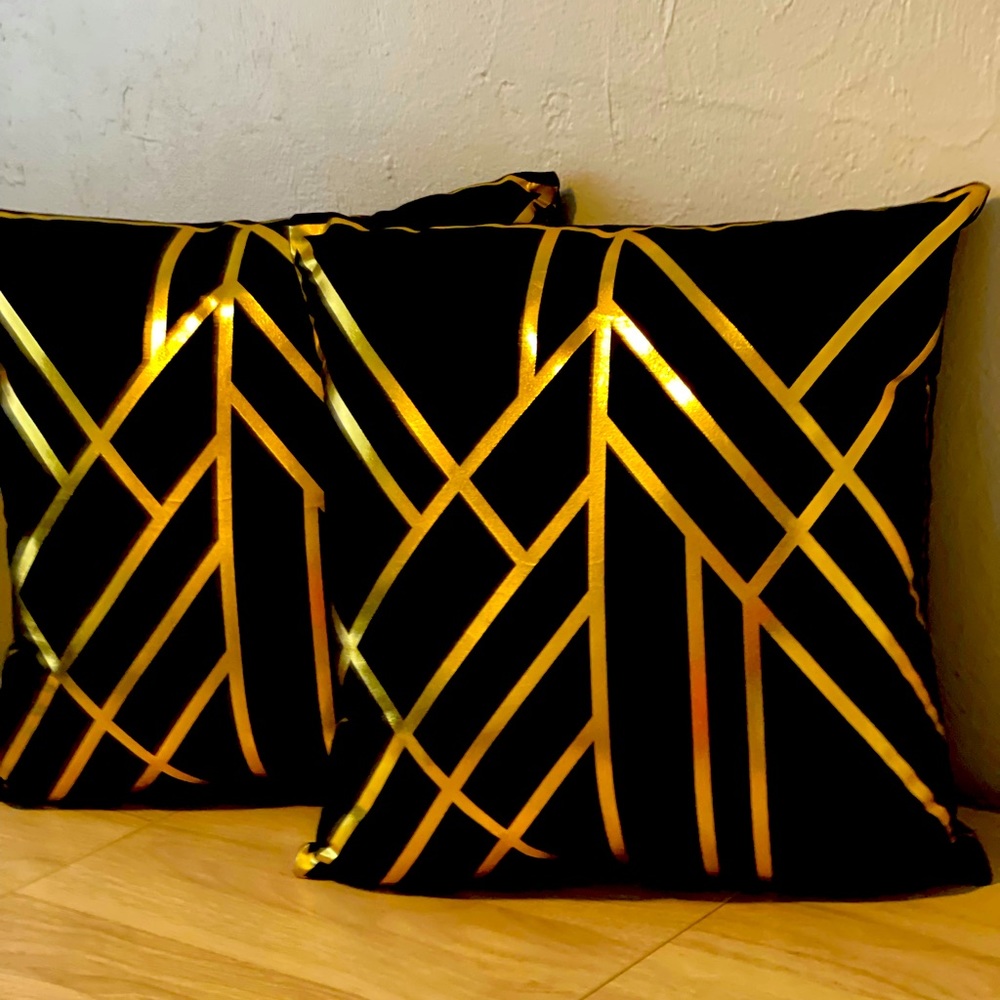 All ACCENT PILLOWS ARE ON SALE 2 for $25!!